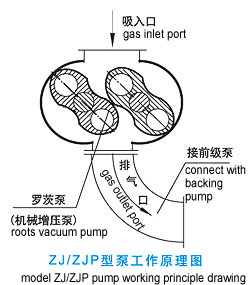 ZJ羅茨真空泵