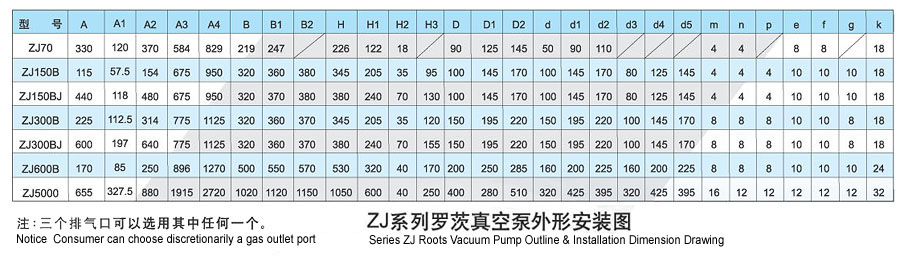 ZJ型羅茨真空泵外型及連接圖