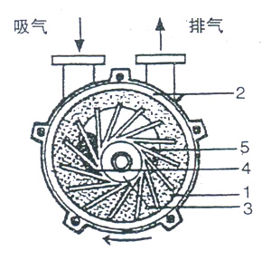 2BV水环式真空泵的工作原理